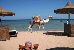 Imperial Shams Abu Soma - Red Sea. Beach.